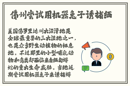 曜把西施抄的脸红